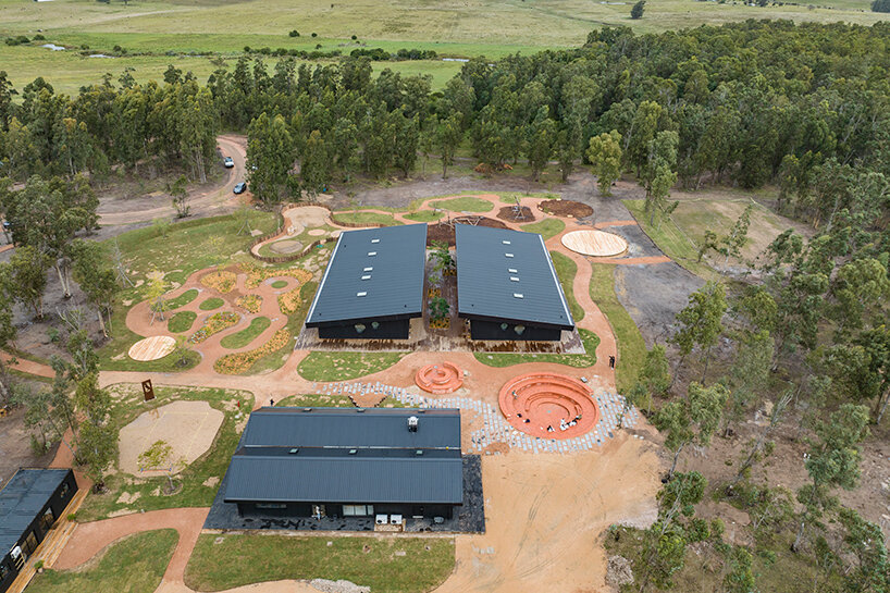 rosan bosch designs nature-integrated garzón school in a eucalyptus forest in uruguay post thumbnail image