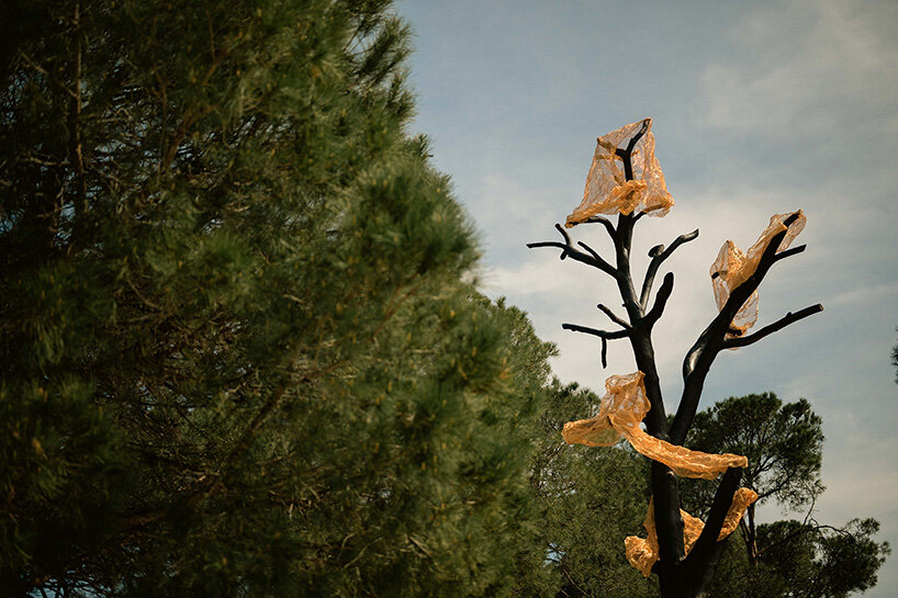 thanos zakopoulos transforms fallen pine into fiery symbol of rebirth at ekies resort in greece post thumbnail image